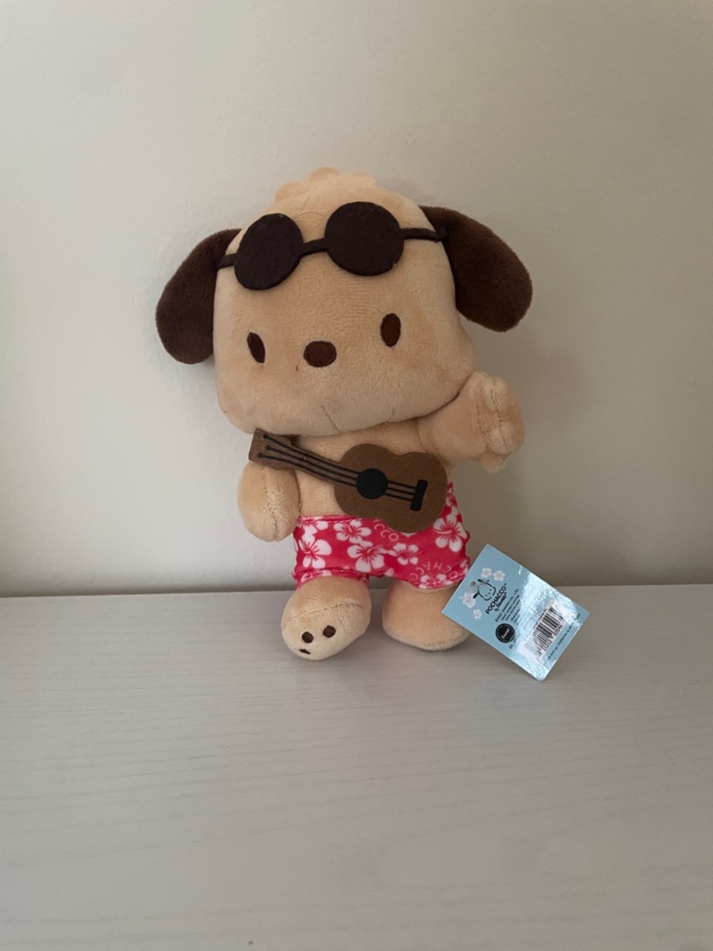 Hawaiian pochacco with Guitar